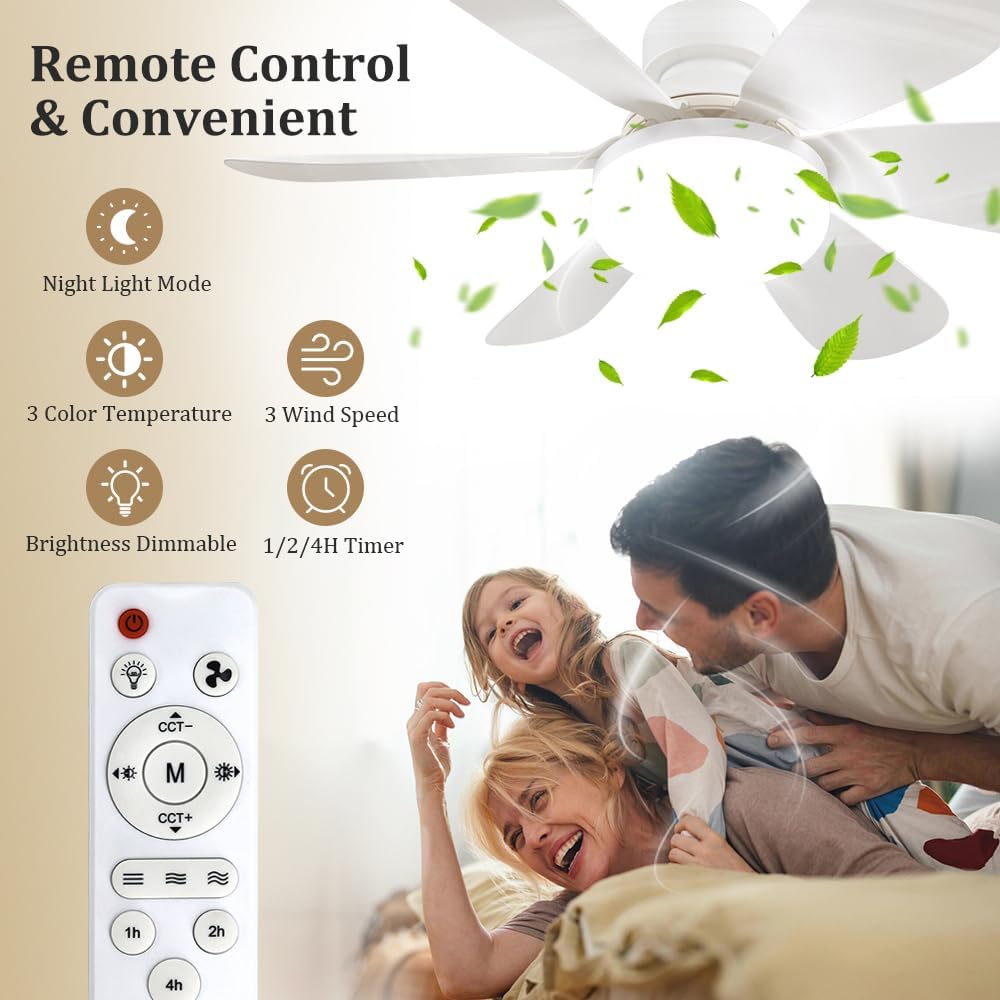 Socket Fan Light with Remote,  - Home Decor Lamp 评论和价格