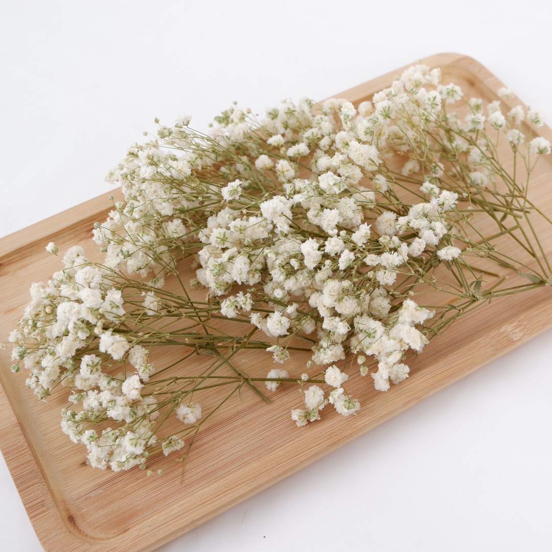 Dried Flowers White Mini Dried - Home Decor Vase With Flowers 评论和价格