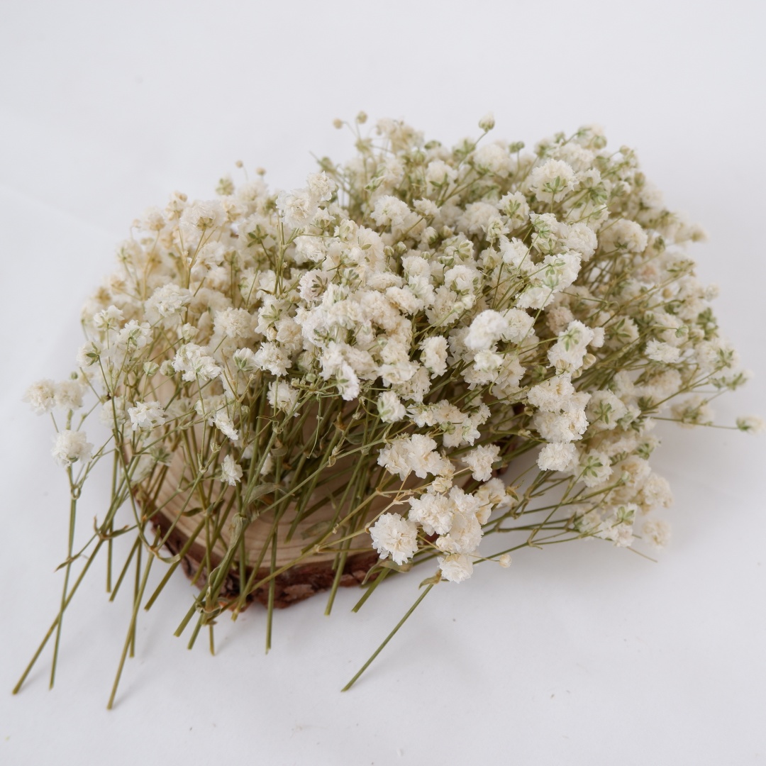 Dried Flowers White Mini Dried - Home Decor Vase With Flowers 评论和价格
