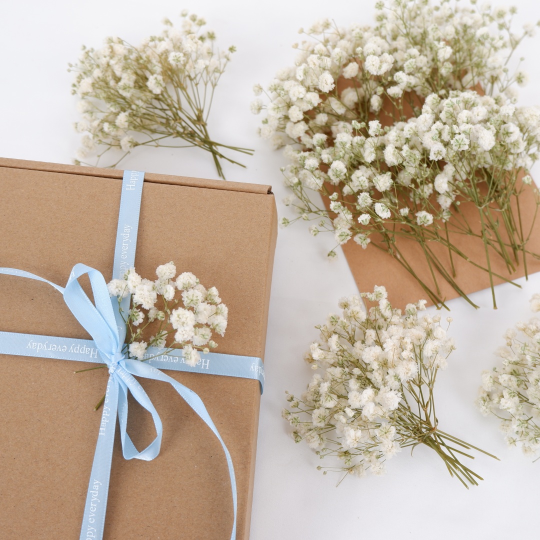 Dried Flowers White Mini Dried - Home Decor Vase With Flowers 评论和价格