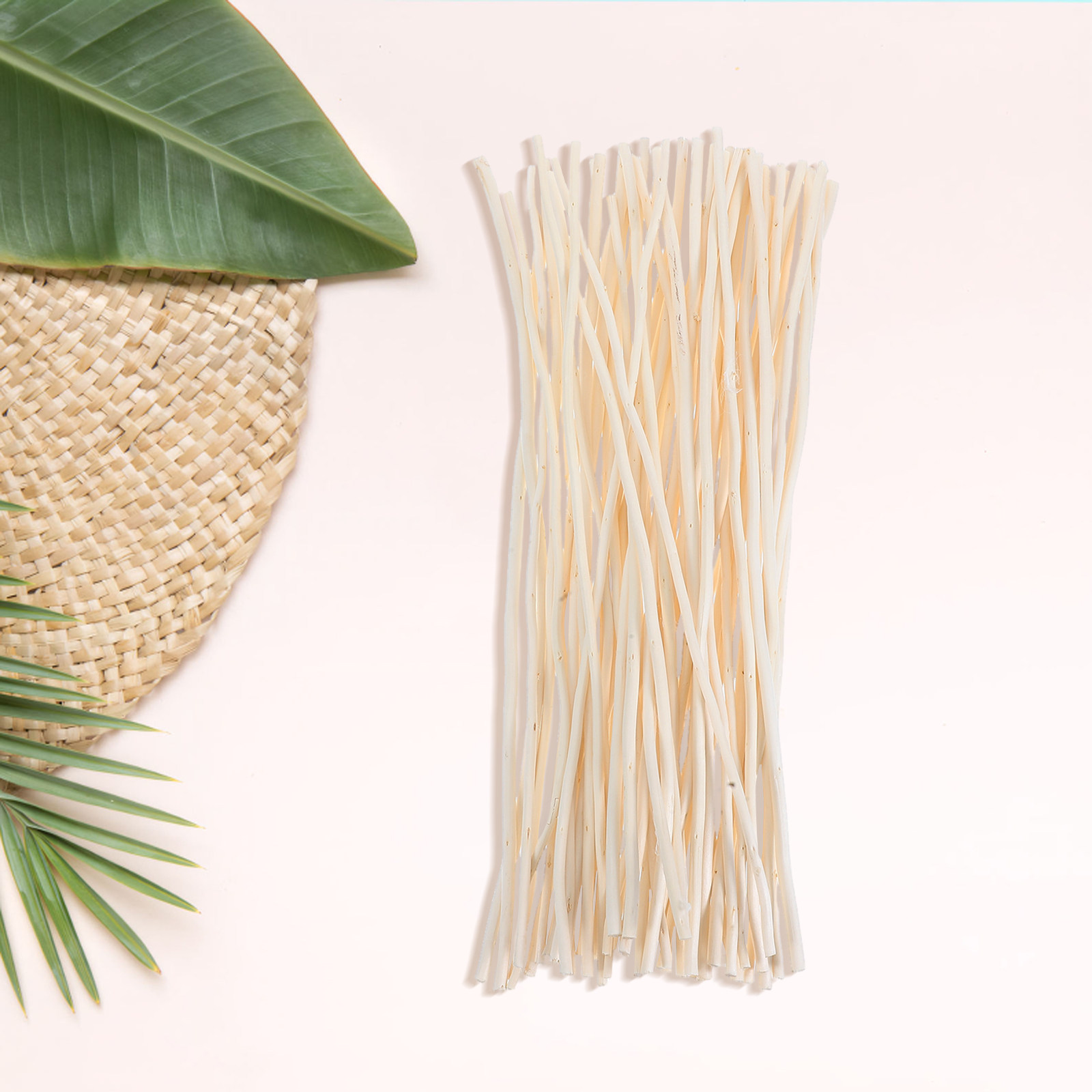 50Pcs Dragon Willow Sticks Dri - Home Decor Vase With Flowers 评论和价格