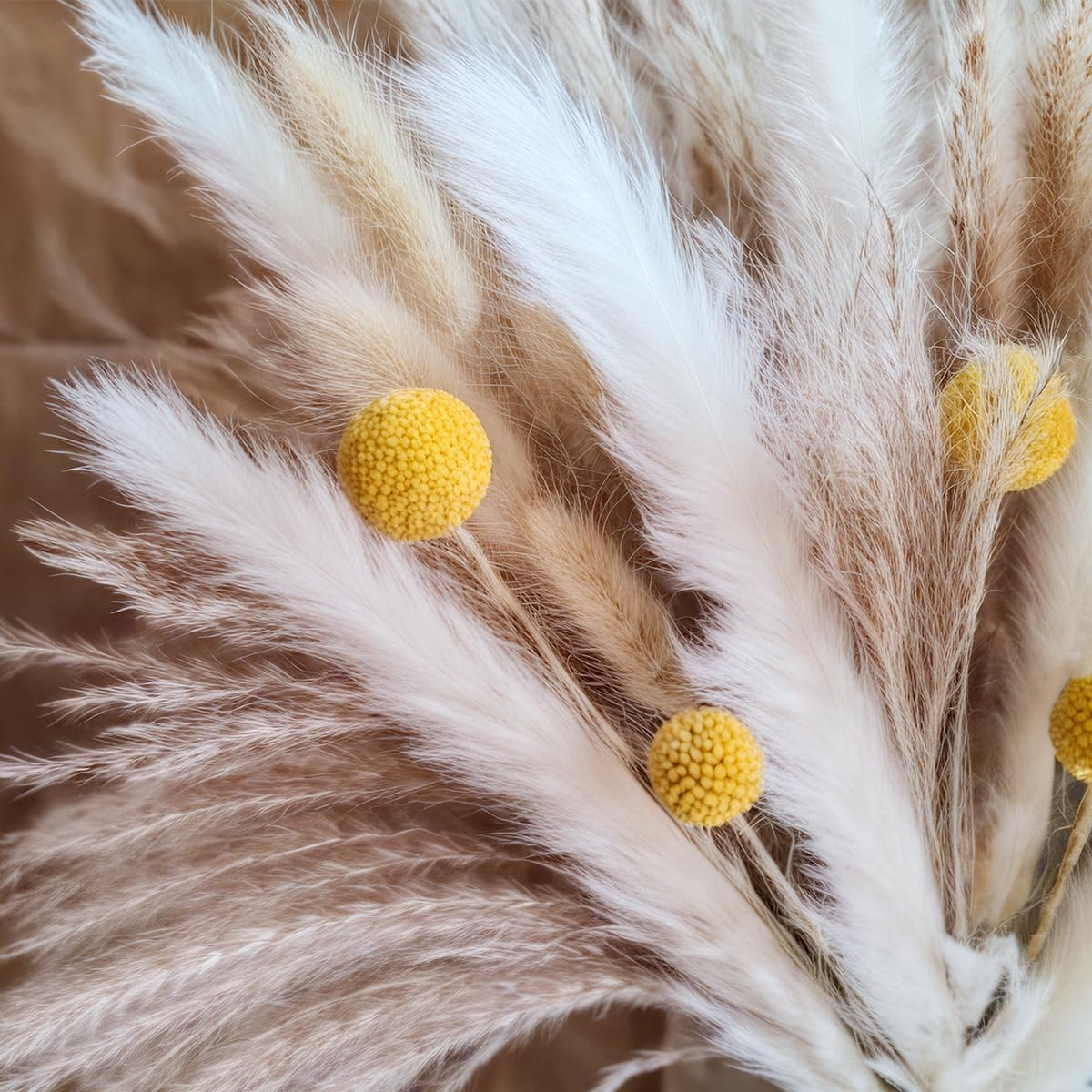 Dried Pampas Grass Bouquet Nat - Home Decor Vase With Flowers 评论和价格